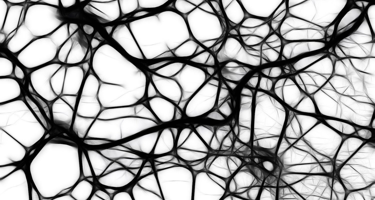 a black and white image of neurons